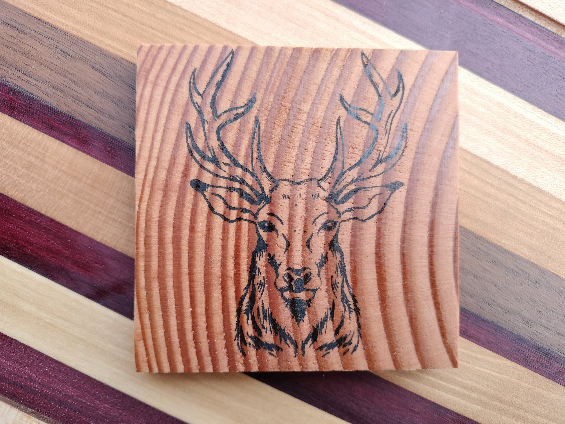 Casual Coasters Handcrafted Handmade Elk