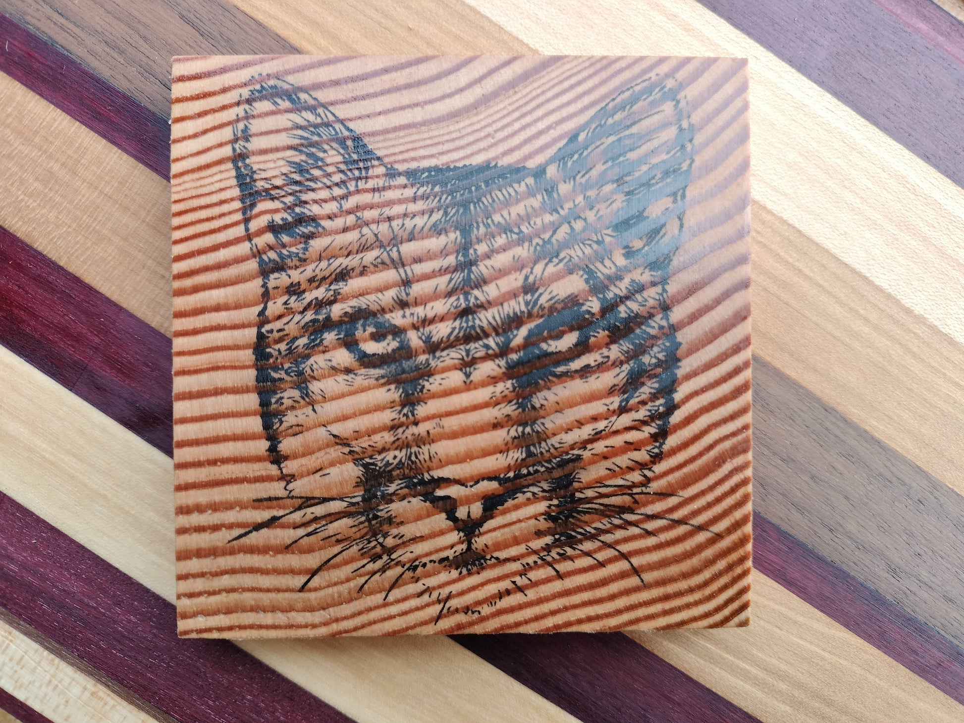Casual Coasters Handcrafted Handmade Cougar